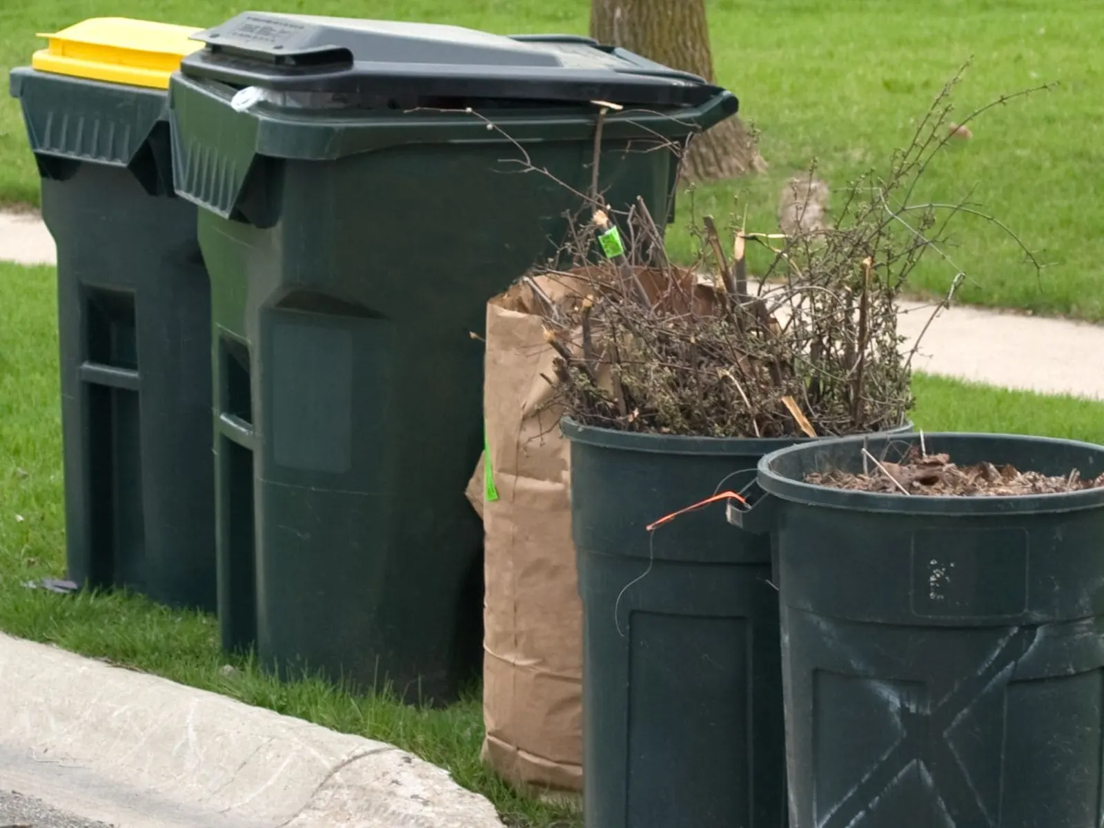 Bins staged at the curb for Freedom Junk Removal pickup
